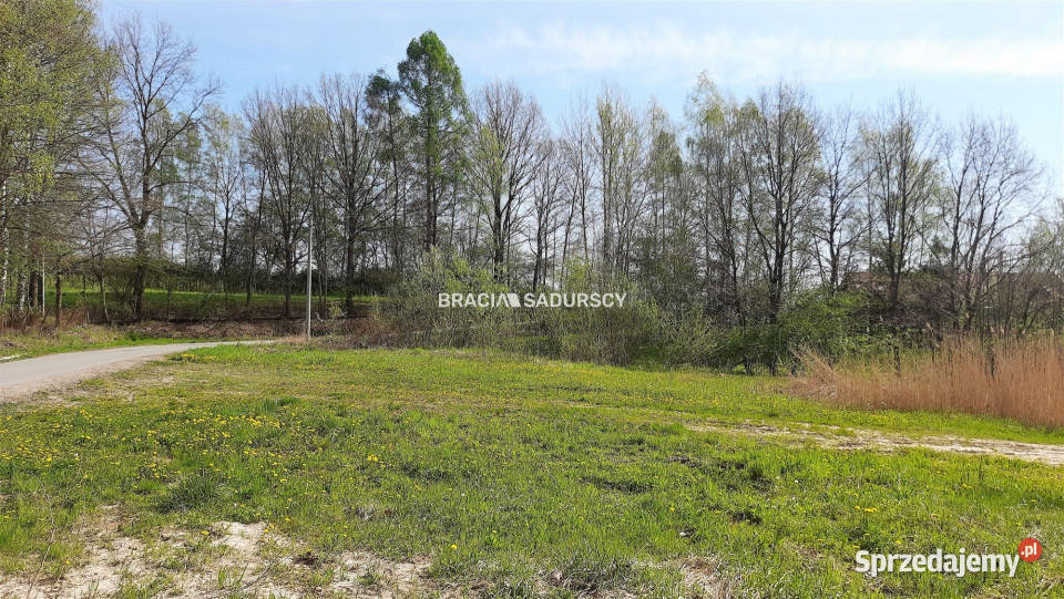 Działka Gaj Maryjna 4025 metrów