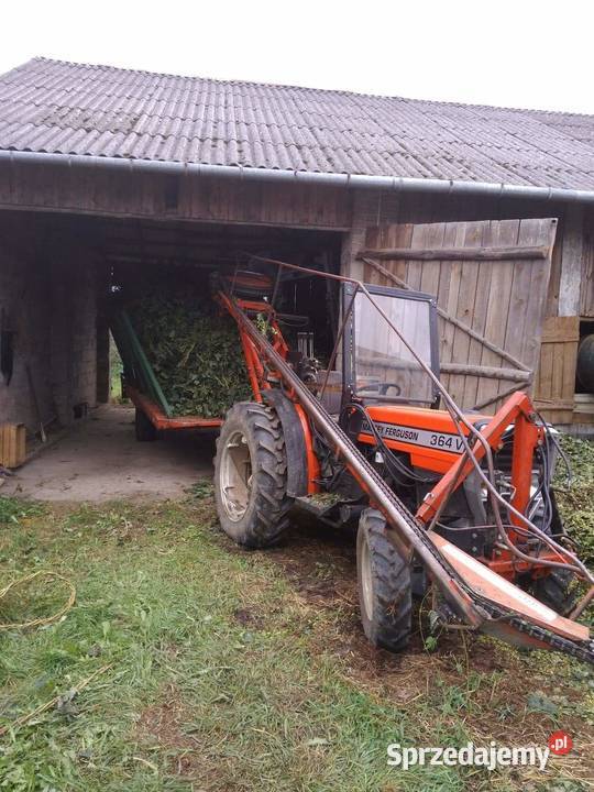 Massey Ferguson 364 v sadowniczy sadownik do Wilków