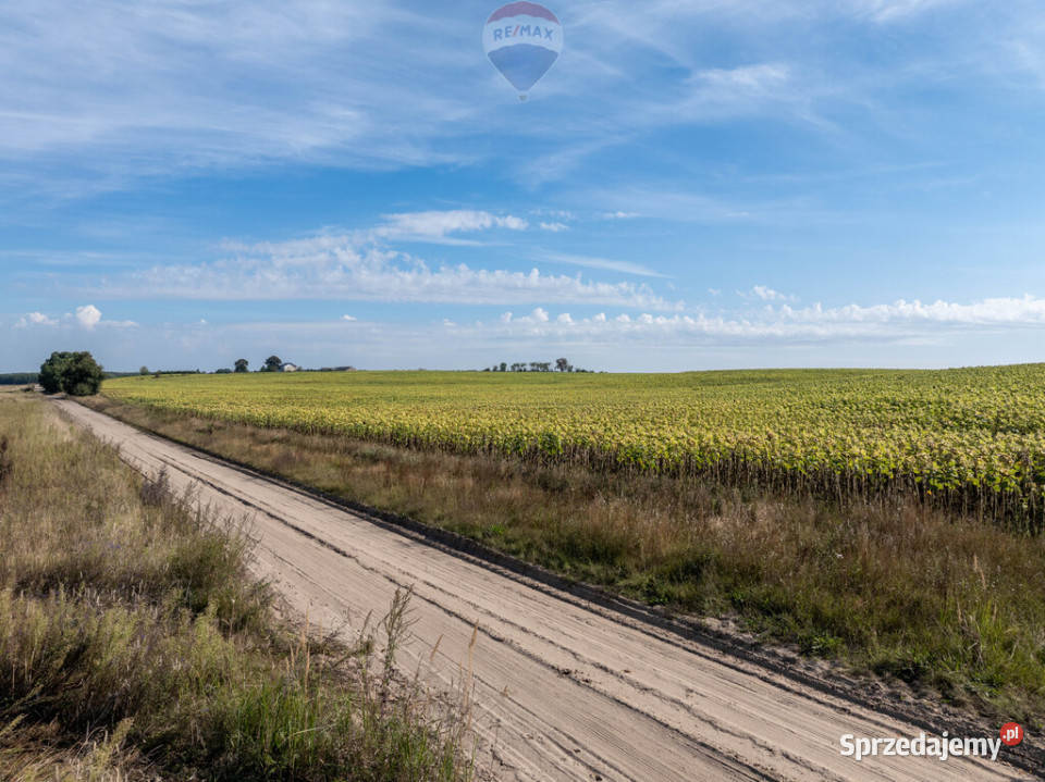 Inwestycyjna rolna działka Łubowice obok