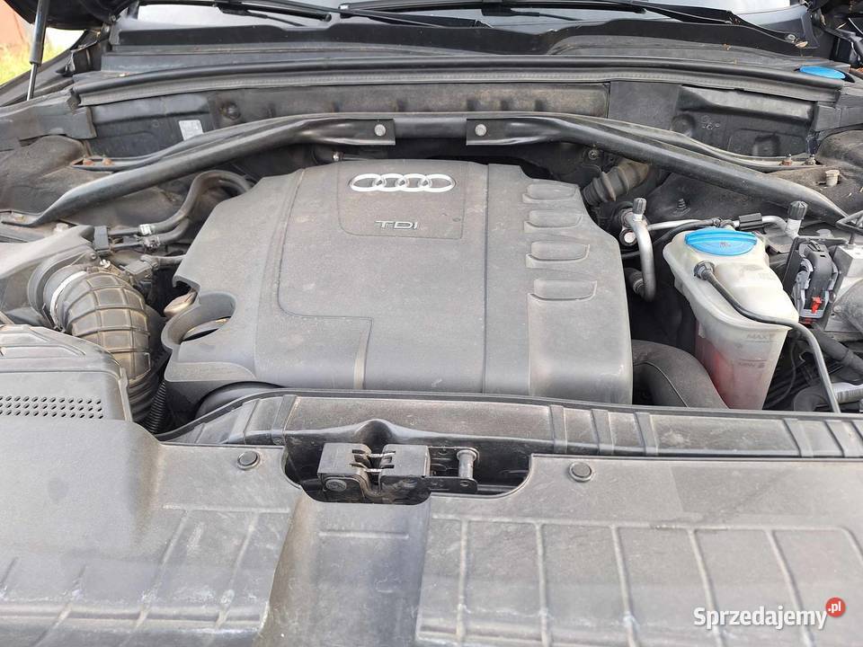 Audi Q5 20 TDI Quatro Świdnik