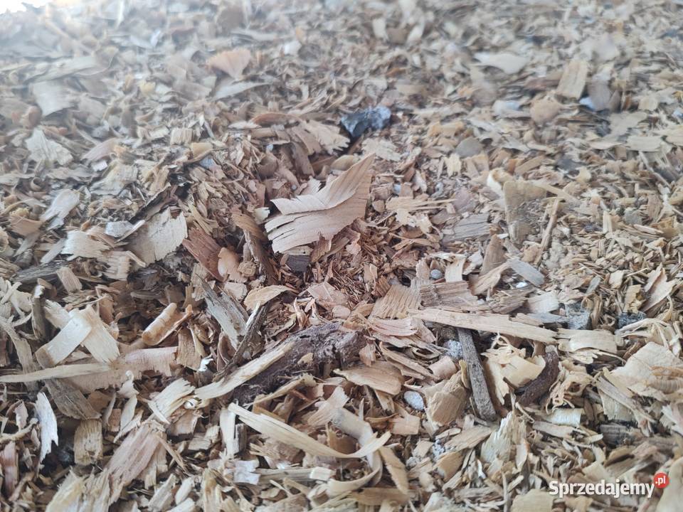 Trociny zrębka Rolnictwo Olsztynek sprzedam