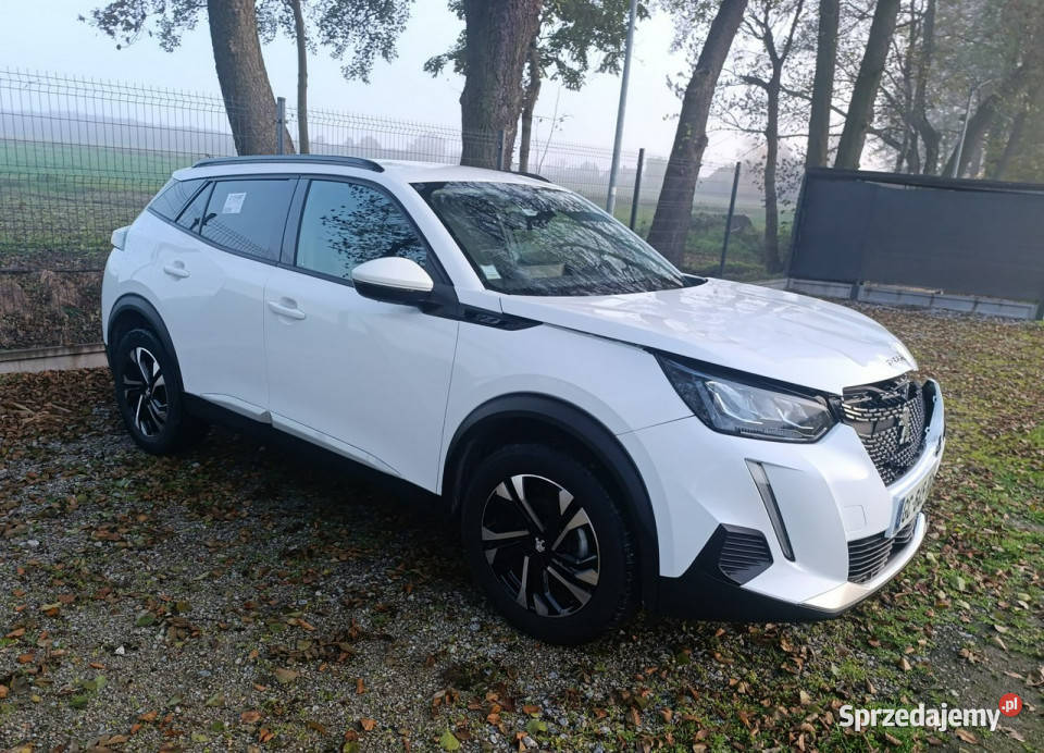 Peugeot 2008 line automat II 2019 czujnik deszczu Pleszew
