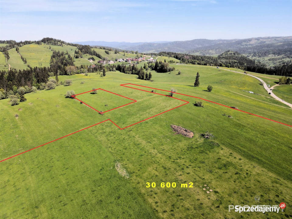 Działka Łapszanka 30600m2