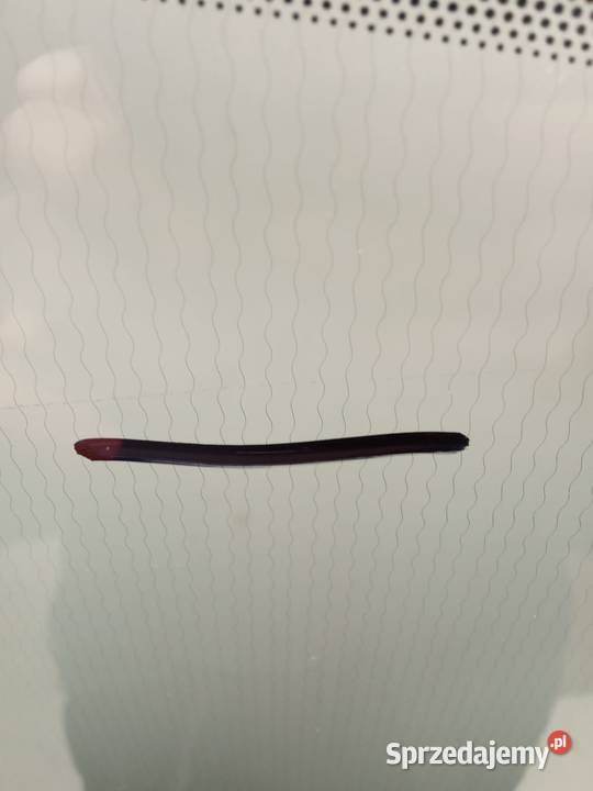 Szyba Przód Transit ConnectTourneo Connect 18 Przednie