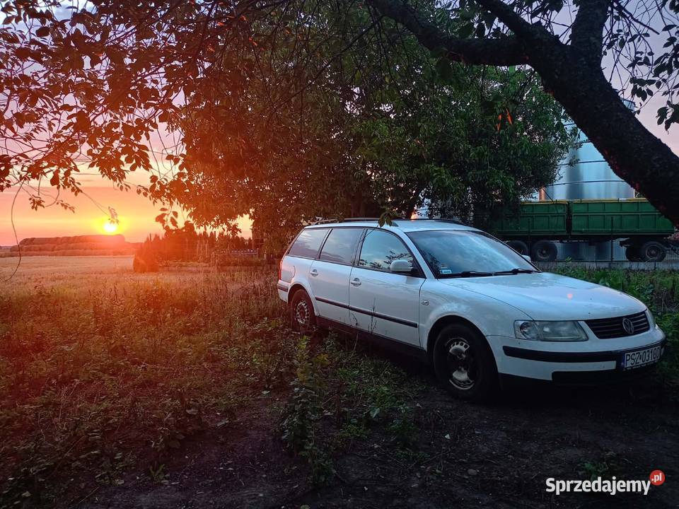 Passat b5 AFN hak Gaj Mały