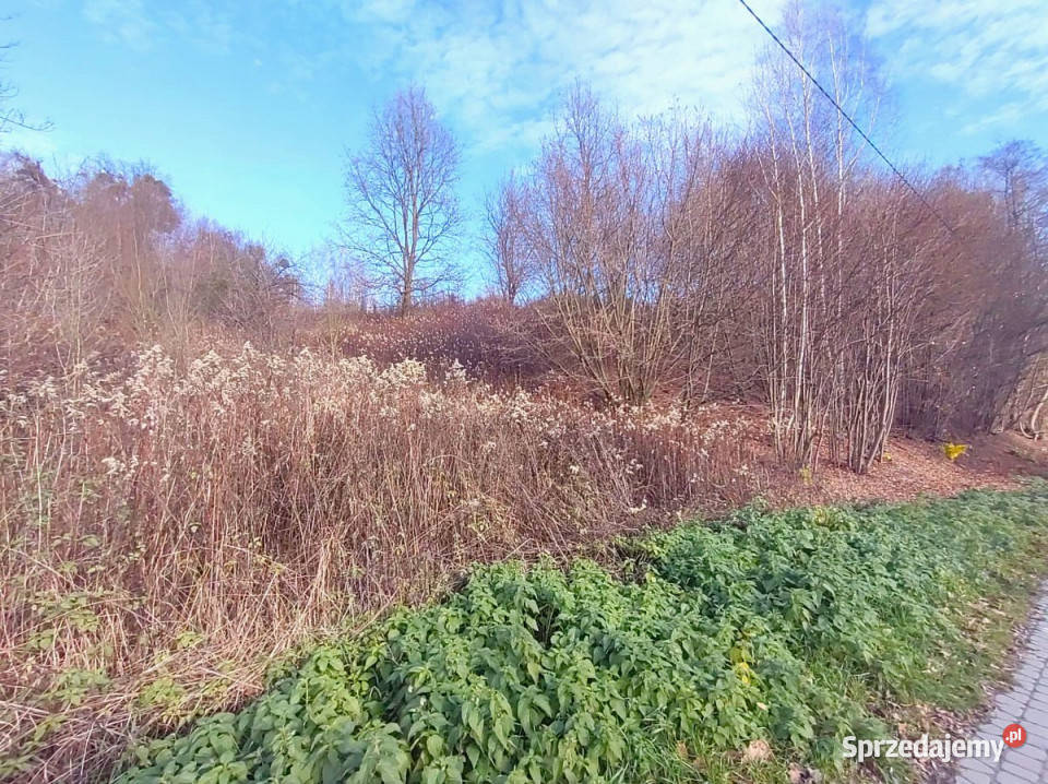 Działka Kazimierz Dolny 16626m2