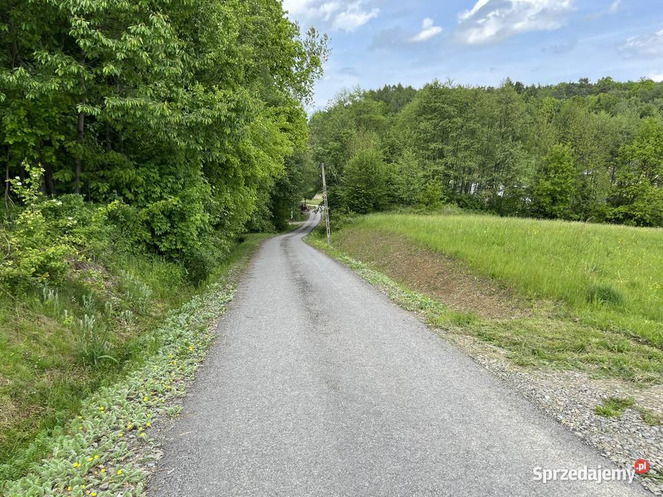 Urokliwe siedlisko na wsi z dużą działkąidealne małopolskie Łużna