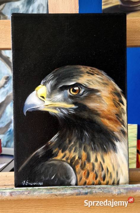Obraz ręcznie malowany Orzeł sokół 20x30 Męcina