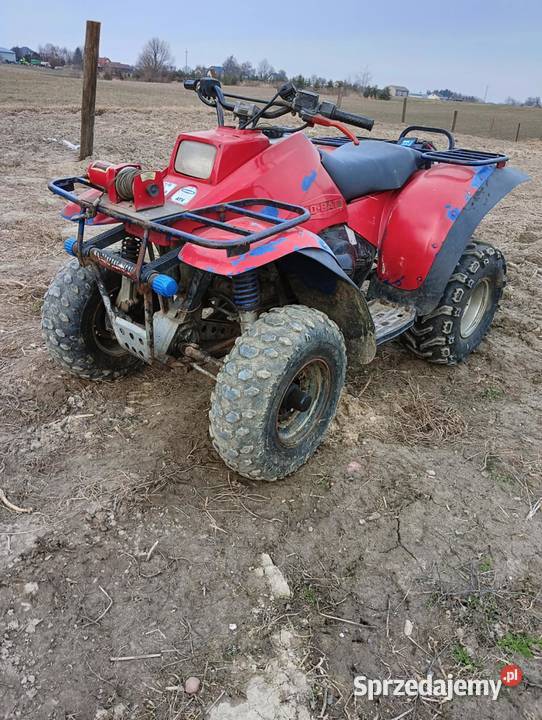 Polaris Zezulin Pierwszy