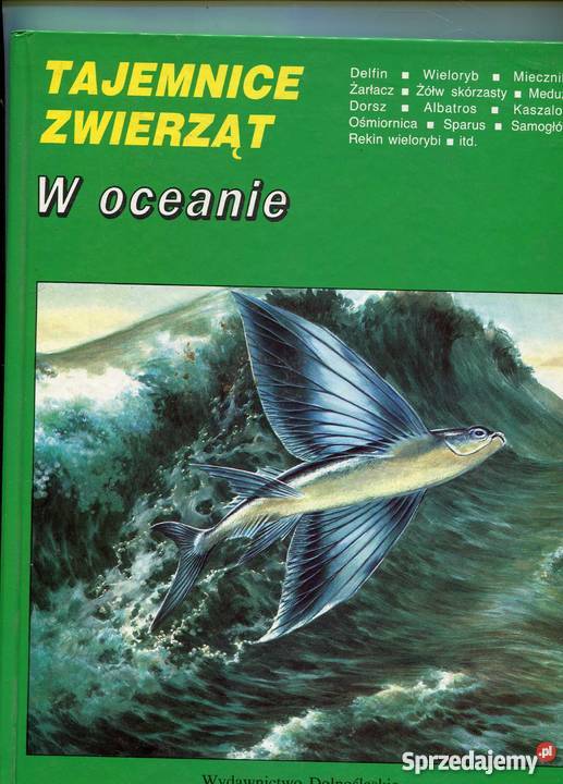 Tajemnice zwierząt W oceanie Szczecin sprzedam