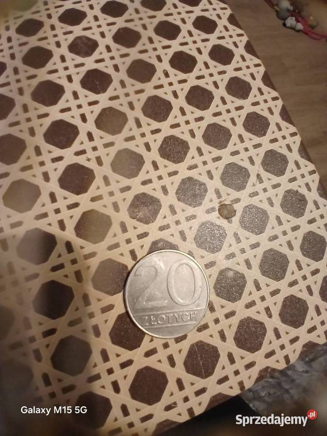 Monety 20zl 1989 Stróżewo