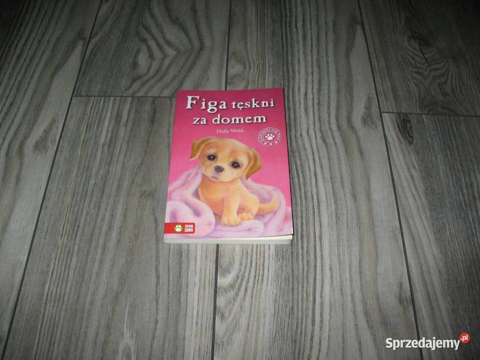 Figa tęskni domem KSIĄŻKA Chorzów