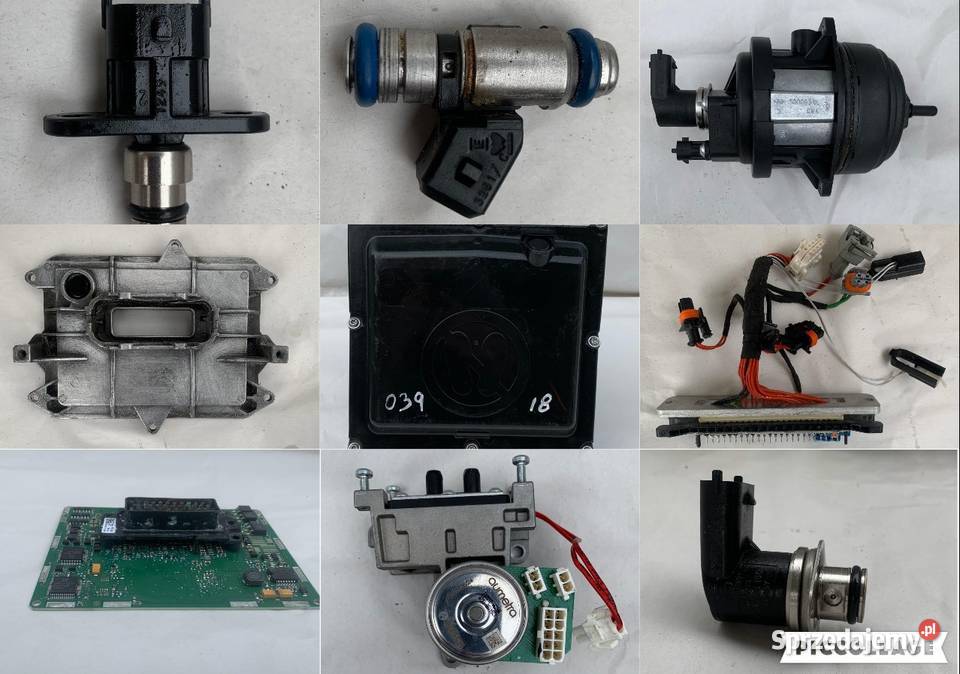 Adblue Puma Volvo FH FM Renault DXI Scania Pozostałe Zawichost