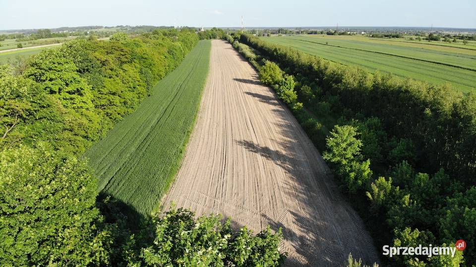Działka rolna w Iłży Sprzedaż