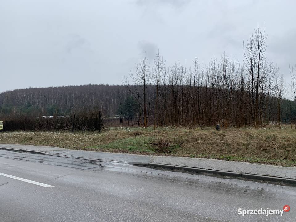 Syndyk sprzeda nieruchomość 3651m2 Częstochowa