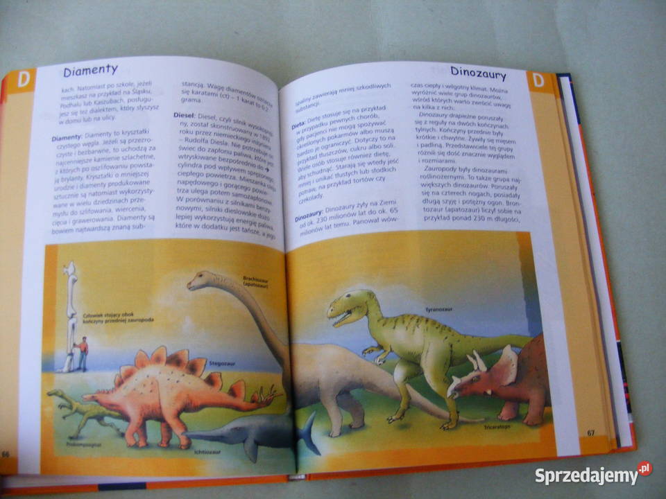 Encyklopedia szkolna Polska dzieci 200 pytań Książki i Podręczniki Oborniki Śląskie