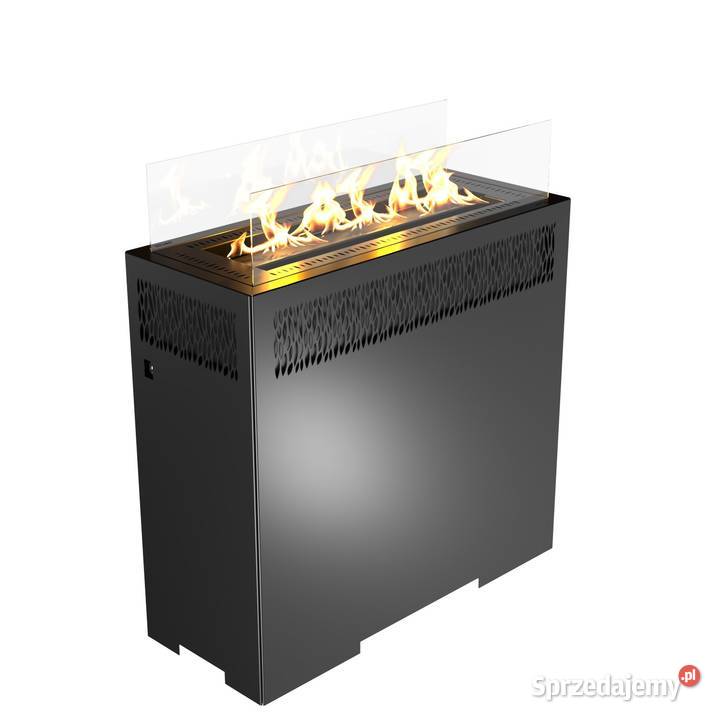 HITZE Gazowy ogrzewacz tarasowy FUENTE L Poznań