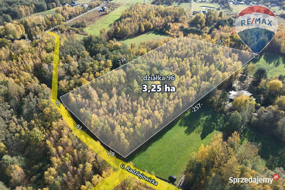325ha wśród lasów Budy Michałowskie