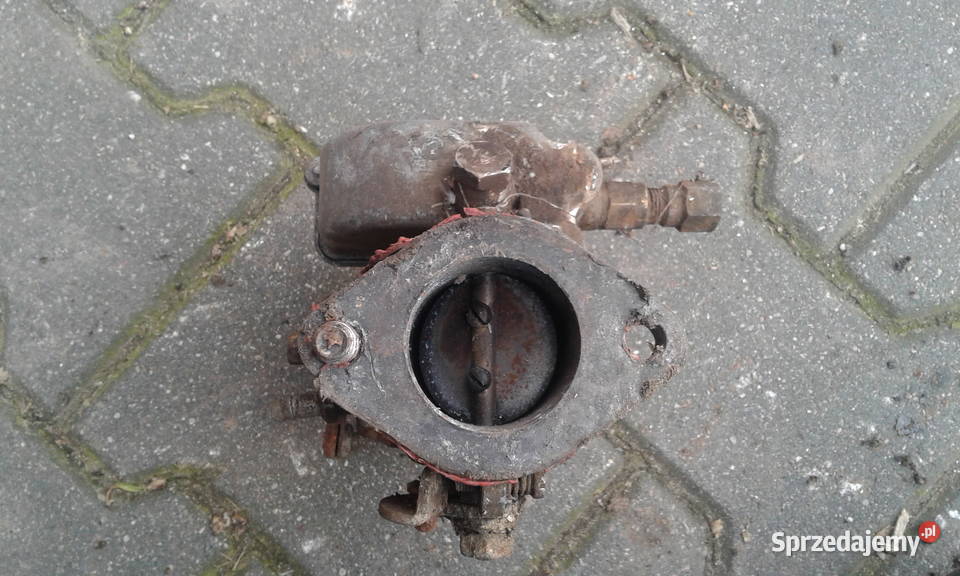 Żuk smutek warszawa star gaznik dolniak