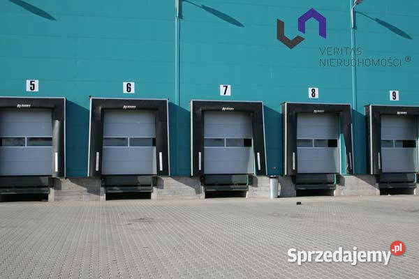 wynajmu lokalu Tychy 5746m2