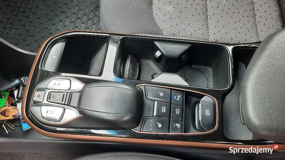 Hyundai Ioniq Elektric Premium 37tkm 120 radio Kalwaria Zebrzydowska