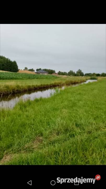 Sprzedam działkę Filipów 65000 16zł/m2 sprzedam