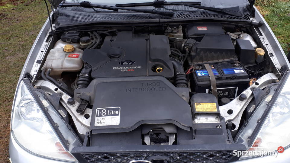ford focus 18 TDCI śląskie Poręba