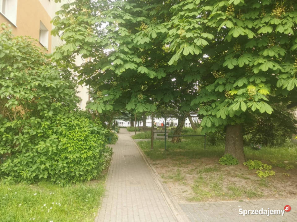 Bez prowizji remoncie 43 mkw parter k WSIZ i podkarpackie Rzeszów