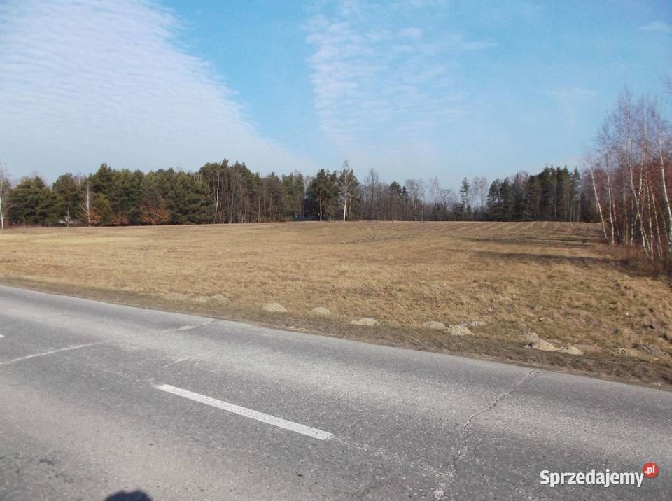 Budowlana ponad 2ha Sierzchów gmina Góra mazowieckie