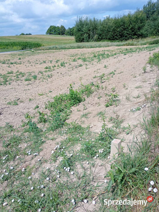 działka budowlana 2240 ara Wz Rzeszów utwardzona podkarpackie
