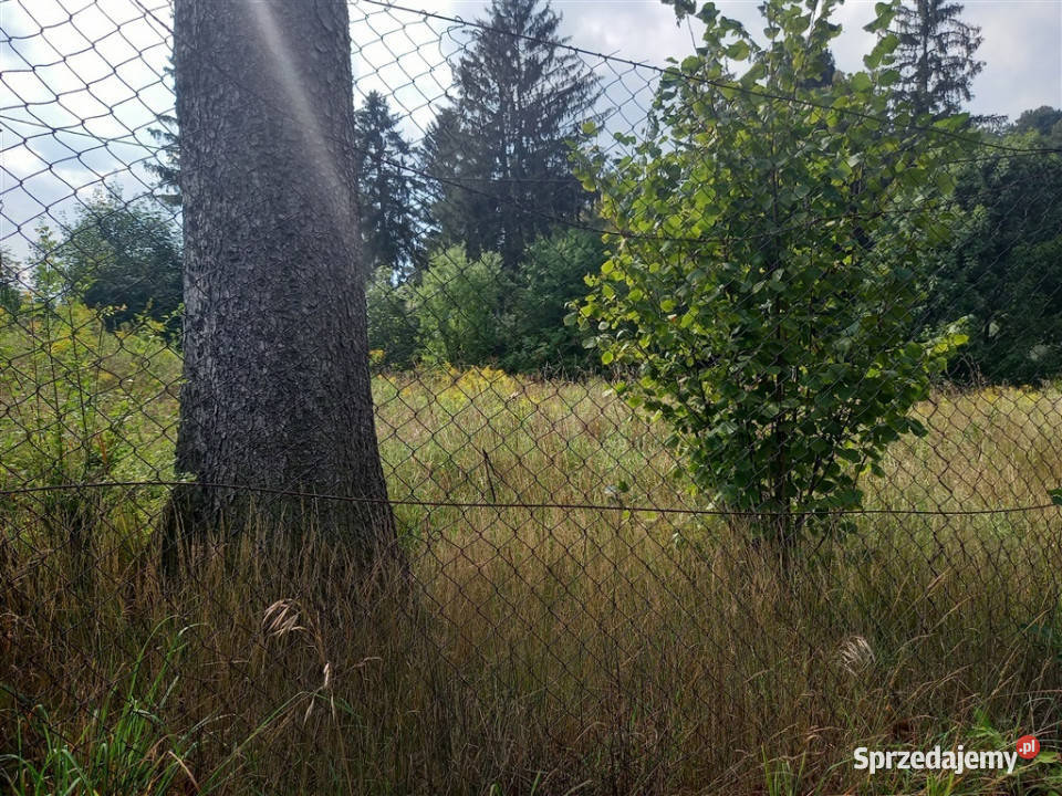 sprzedaży gruntu Lubachów