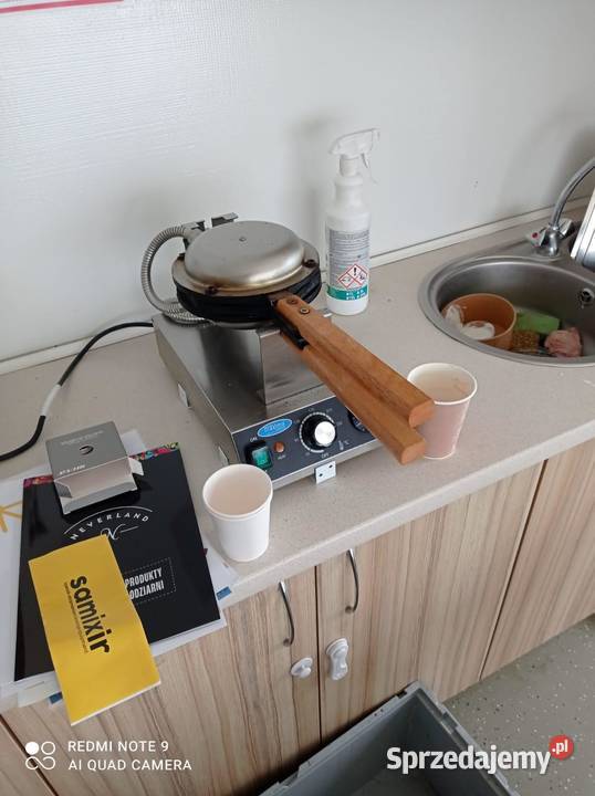 Gotowy biznes Przyczepa z lodami goframi granitą