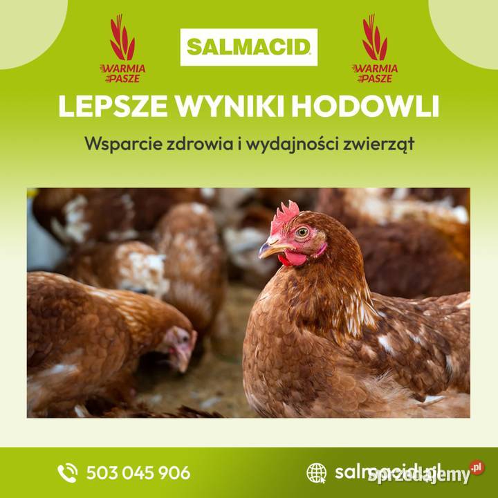 SALMACID zakwaszacz do wody paleta 528 24 x 22 Bielsk Podlaski sprzedam
