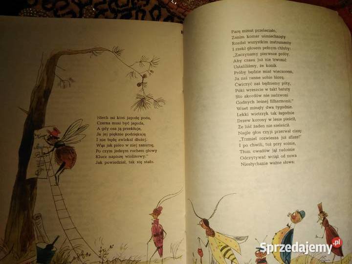 O komarze i orkiestrze ilustracje Szancer