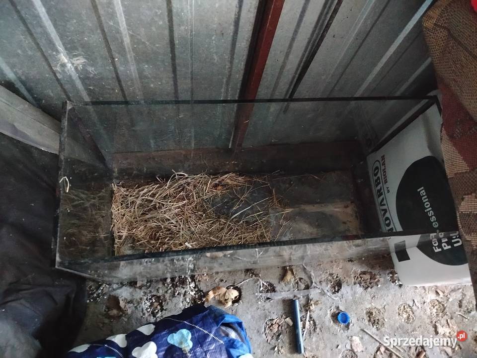 Duże akwarium małopolskie Brzezna