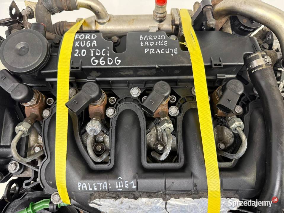 SILNIK Ford Kuga 20 TDCI 136 diesel kompletny osobowe lubelskie Chełm