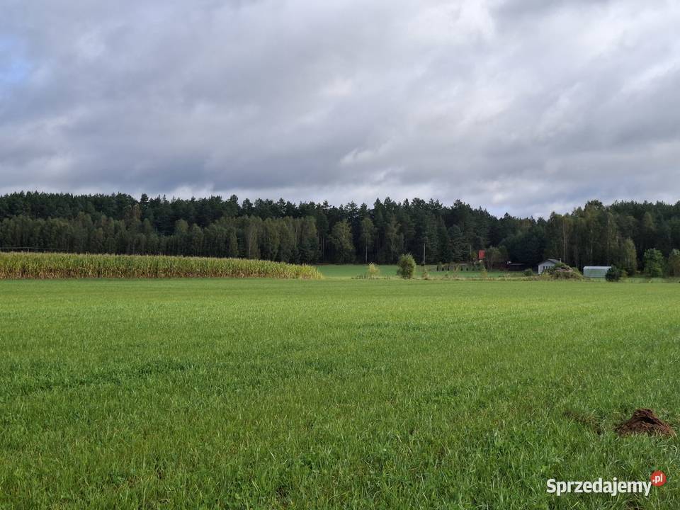DZIAŁKA BUDOWLANA ŁĄŻEK KOŁO TLENIA BORY Łążek
