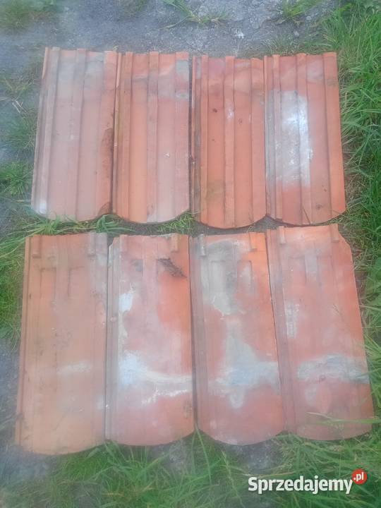 Dachówka czerwona stara karpiówka na buda psa Czernikówko