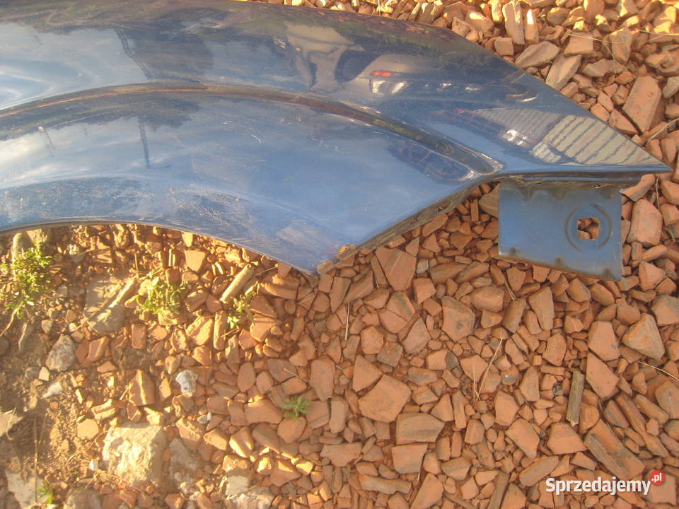 Błotnik przedni prawy przód Ford Fiesta mk5 V osobowe małopolskie Kraków