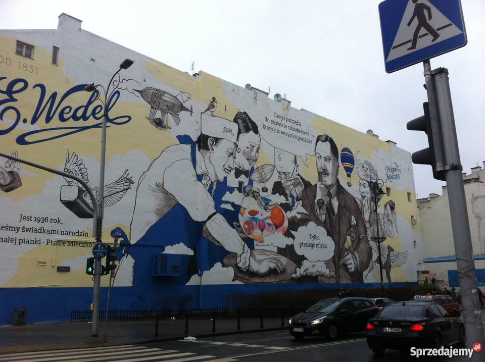 Artystyczne malowanie ścian Rysunek Ilustracja Pozostałe usługi Szczecin