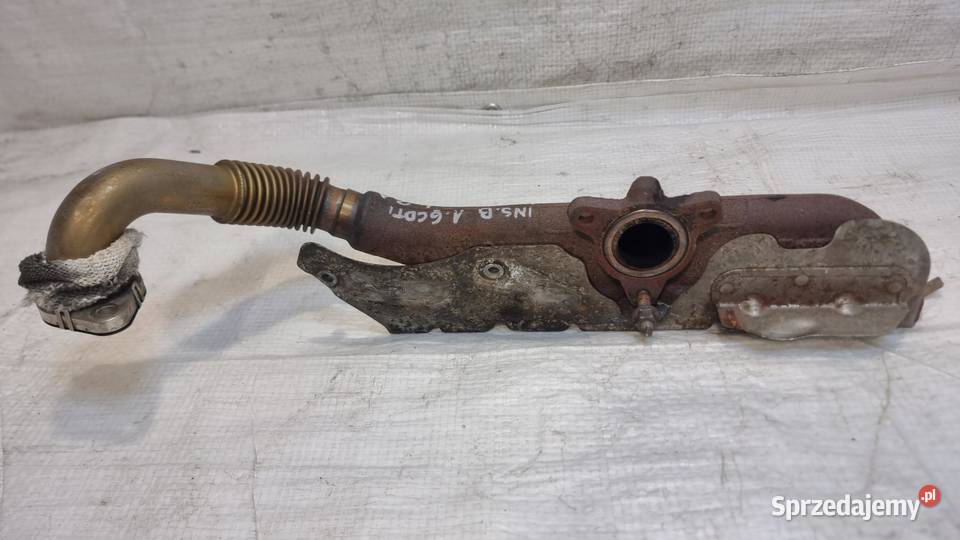 KOLEKTOR WYDECHOWY OPEL INSIGNIA B 16 CDTI osobowe kujawsko-pomorskie