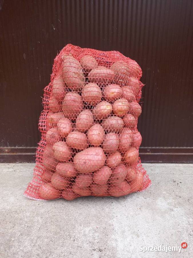 Ziemniaki jadalne BELLAROSA Wieruszów