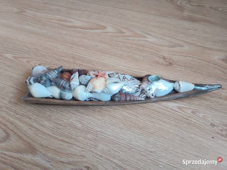 Muszle muszelki ozdoba morska NOWA Oryginalnie