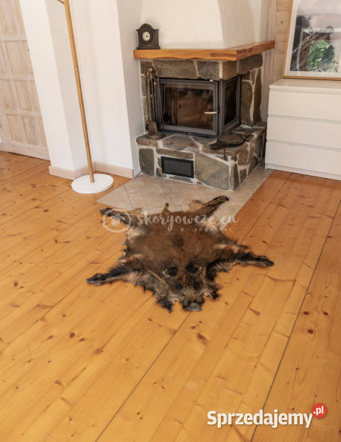 Dzik dekoracyjny skóra z dzika na podłogę skóra Szaflary