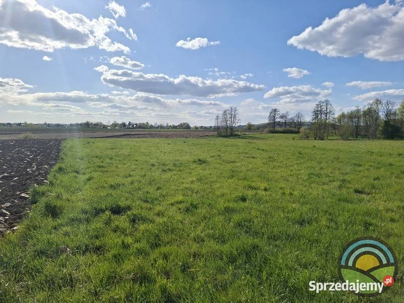 Facimiech gm Skawina działka rolna 3100 m2 małopolskie