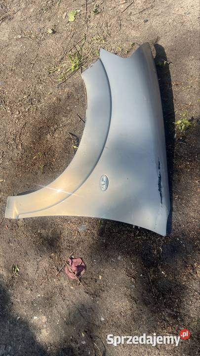 Blotnik przod lewy citroen c3 Margonin
