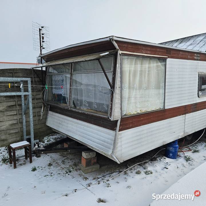 Kempingi domek holenderski wielkopolskie Michałów Drugi