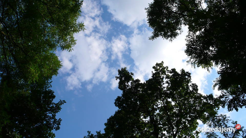 Piękna Widokowa Działka Bezpośrednio granicy Wrocław