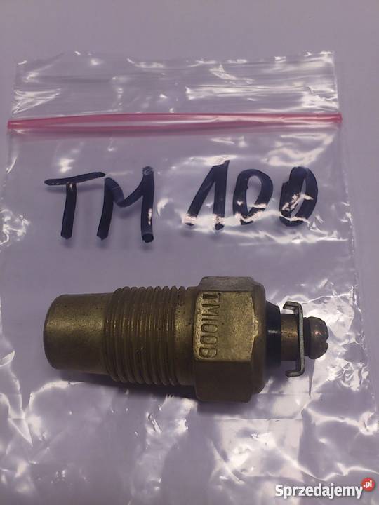 Czujnik temperatury wody TM100102104106 terenowe