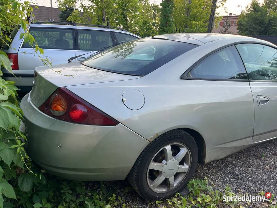 Ford cougar szuka nowej przygody Dawidy
